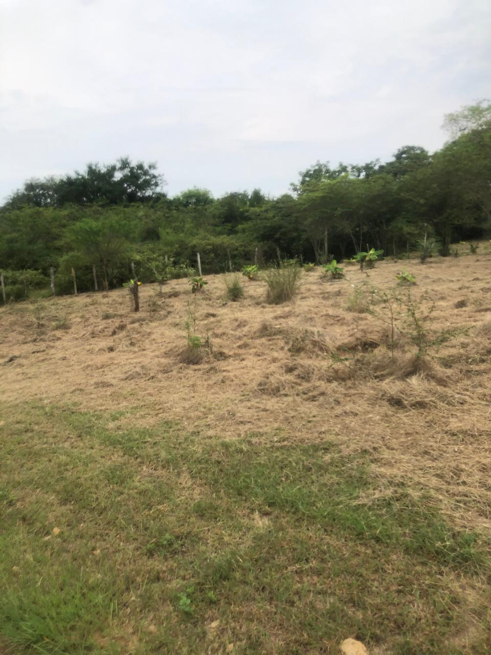 Convenio AMDAE y Fundación Saving