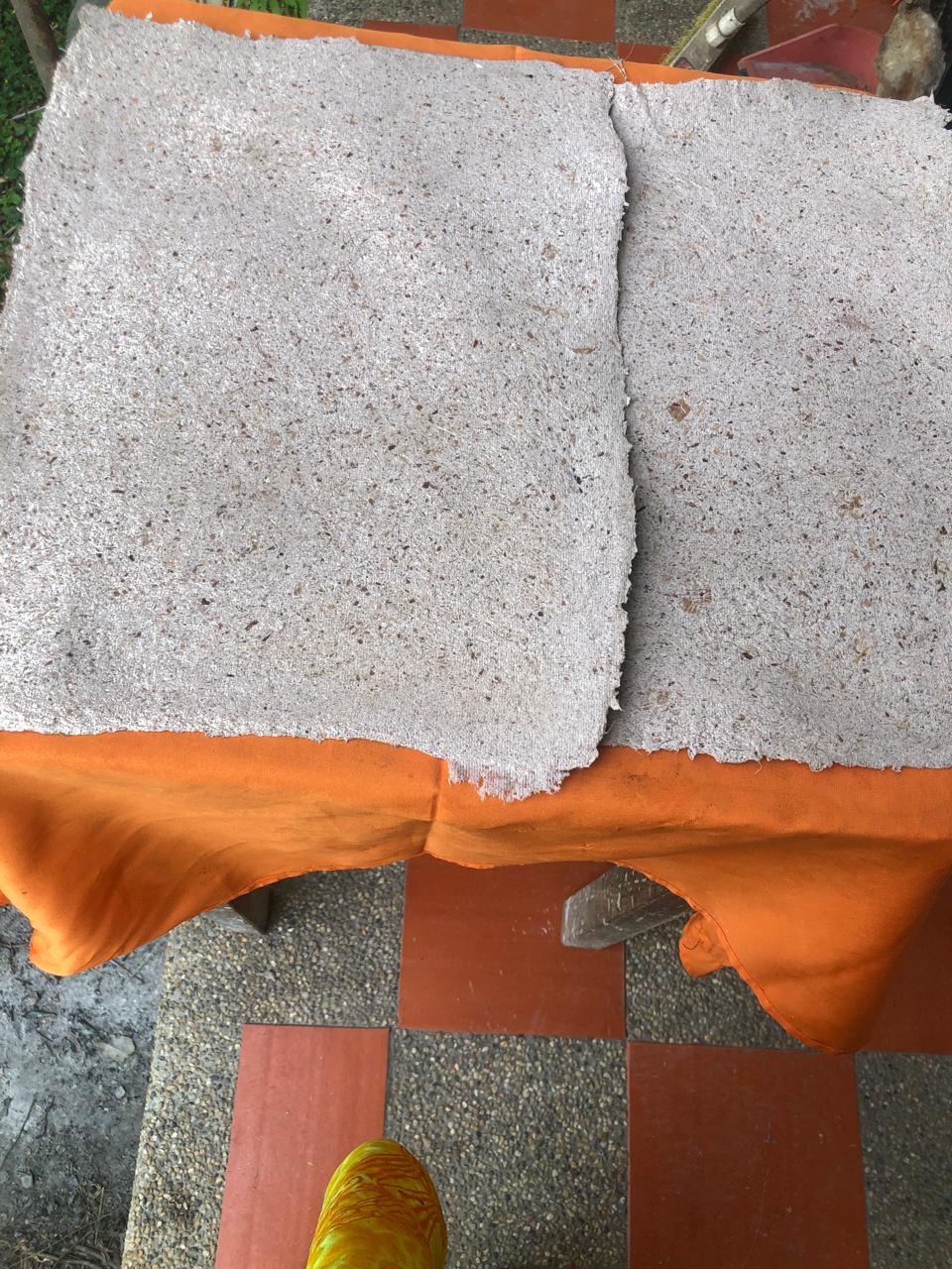 Productos derivados del plátano