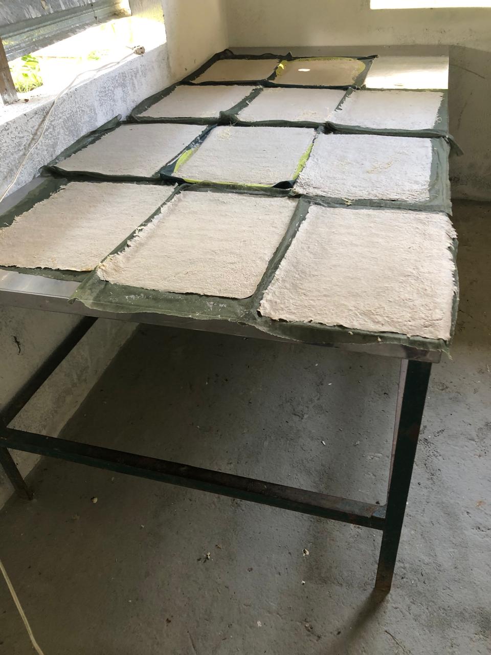 Productos derivados del plátano
