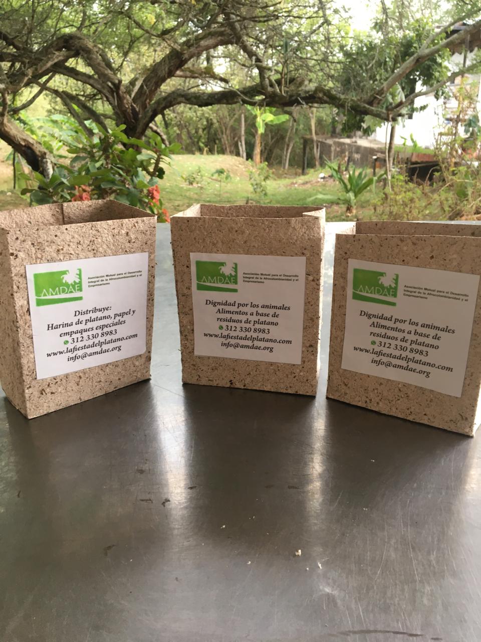 Productos derivados del plátano